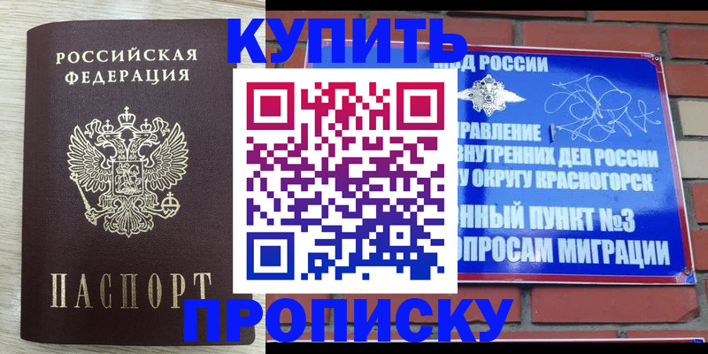 прописка гарантия в Заинске
